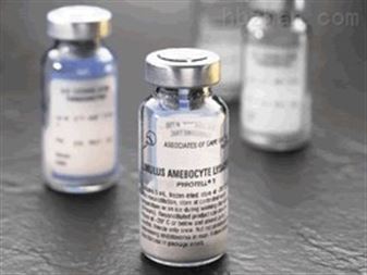 200ug/支糖化血红蛋白A1c（HbA1c）单克隆抗体