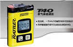 T40T40一氧化碳氣體檢測儀（0-2000）英思科