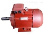 東北YEJ系列電動機生產廠家