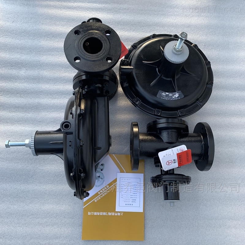 <strong>RTZ-FQ天然气调压器</strong>